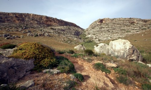 Zdjęcie MALTA / Siġġiewi / Għar Lapsi  / Na szlaku