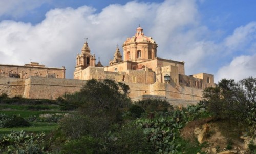 Zdjcie MALTA / rodkowa Malta  / szosa wiodca do Mdiny / Widok na Mdin