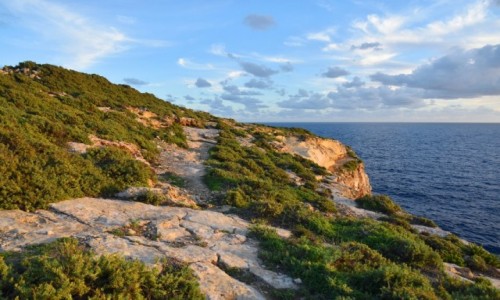 Zdjcie MALTA / wyspa Gozo / okolice Xlendi / Poudniowo-zachodnie wybrzee Gozo