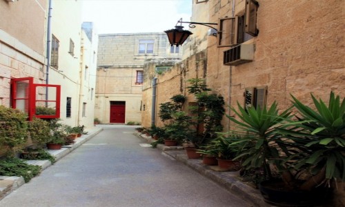Zdjcie MALTA / Mdina / . / Czerwone okiennice
