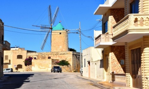 Zdjęcie MALTA / wyspa Gozo / Xaghra / Ta' Kola Windmill