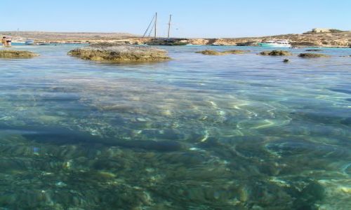 Zdjecie MALTA / comino / comino / błękitna laguna