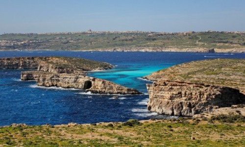 Zdjcie MALTA / Comino / Blue Lagoon / Back to lagoon...