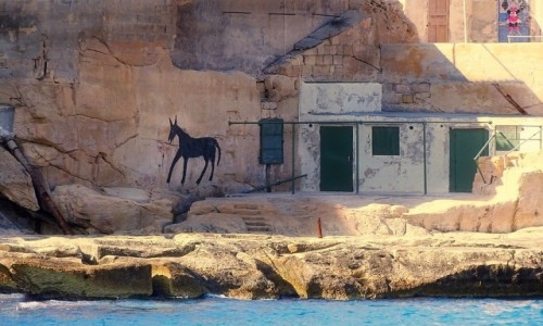 Zdjecie MALTA / ... / Valletta / Zauek czarnego konia