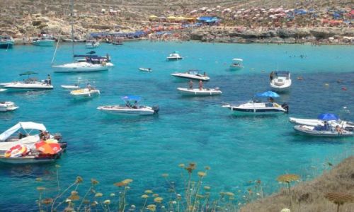 Zdjecie MALTA / Comino / Comino / Blue Lagoon