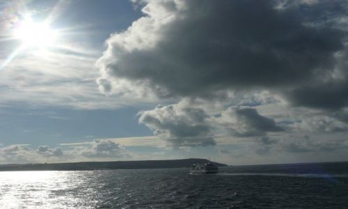 Zdjecie MALTA / wyspa gozo / brak / malta