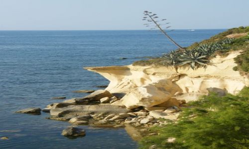 Zdjęcie MALTA / gozo / okolice ramla bay / mały raj