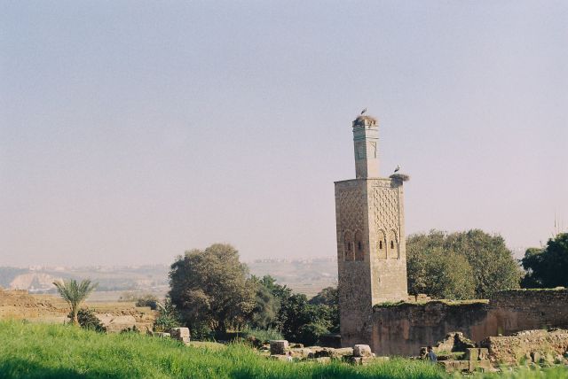 Zdjęcia: Rabat, Rabat, Cytadela Szella i bociany, MAROKO Zdjęcia: Rabat, Rabat, Cytadela Szella i bociany, MAROKO