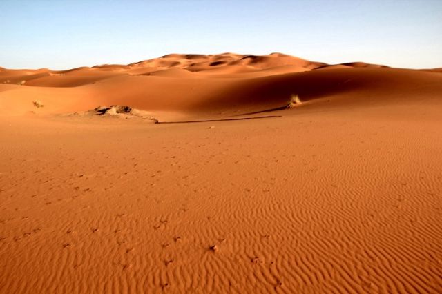 Zdjęcia: okolice Erfoud, południowo-wschodni kraniec Tafilant, Sahara #8 , MAROKO Zdjęcia: okolice Erfoud, południowo-wschodni kraniec Tafilant, Sahara #8 , MAROKO