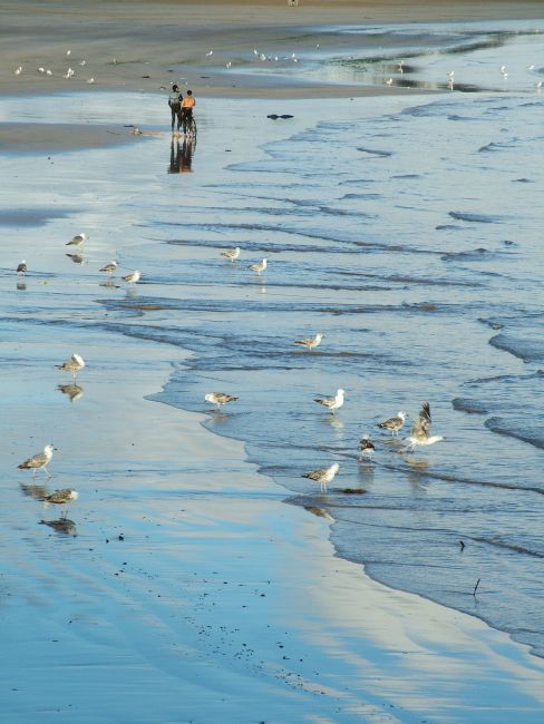 Zdjęcia: gdzieś nad oceanem, --------, "Spacer", MAROKO Zdjęcia: gdzieś nad oceanem, --------, "Spacer", MAROKO
