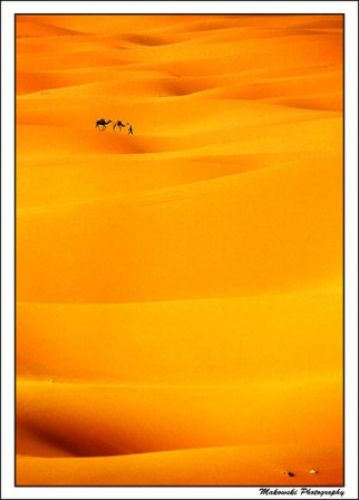 Zdjęcia: Merzouga - Erg Chebii, Południe, Camel Trek, MAROKO Zdjęcia: Merzouga - Erg Chebii, Południe, Camel Trek, MAROKO
