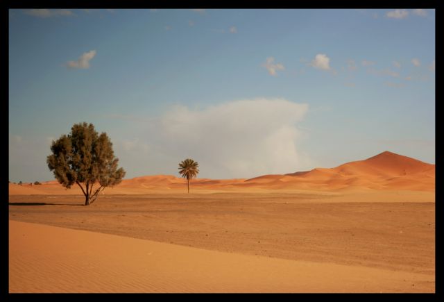 Zdjęcia: sahara, sahara, kiedy sie konczy pustynia, MAROKO Zdjęcia: sahara, sahara, kiedy sie konczy pustynia, MAROKO