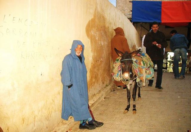 Zdjęcia: Fez, Na medinie, MAROKO Zdjęcia: Fez, Na medinie, MAROKO