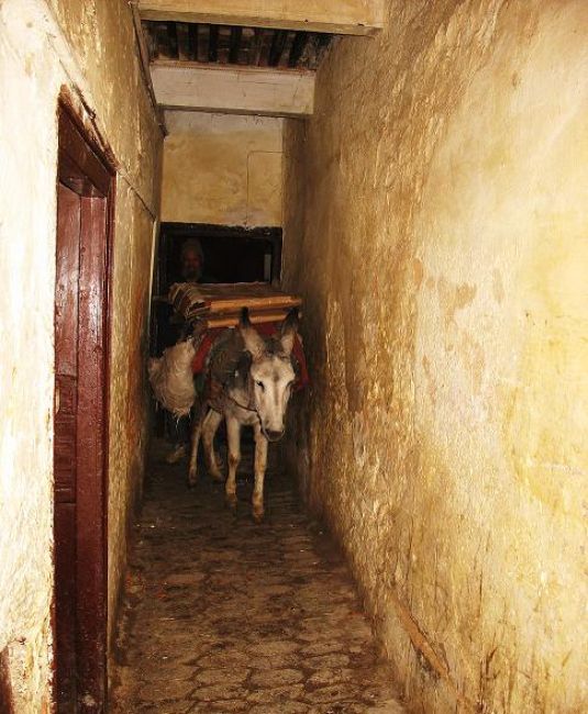 Zdjęcia: Fez, Belek, MAROKO Zdjęcia: Fez, Belek, MAROKO