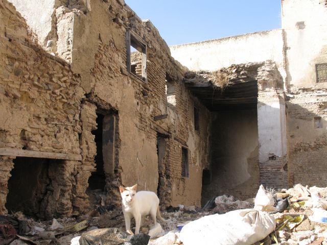 Zdjęcia: na ulicy, Fez, Bywa i tak w miastach królewskich, MAROKO Zdjęcia: na ulicy, Fez, Bywa i tak w miastach królewskich, MAROKO