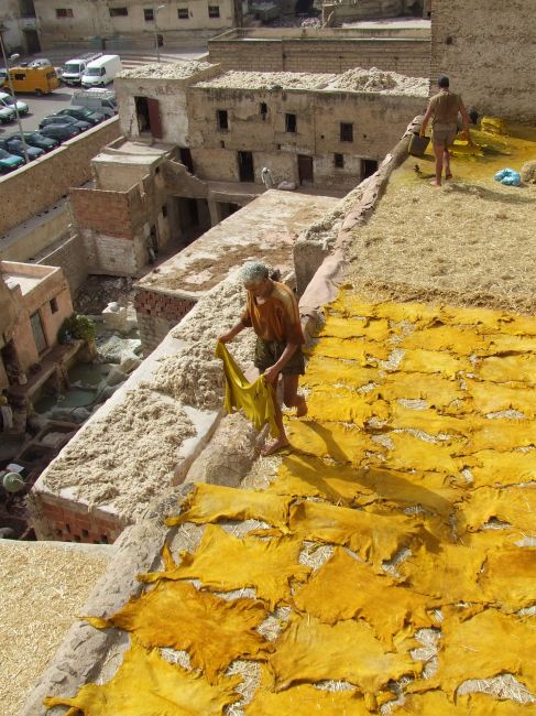 Zdjęcia: Fez, Fez, tak powstaje żółta skóra, MAROKO Zdjęcia: Fez, Fez, tak powstaje żółta skóra, MAROKO