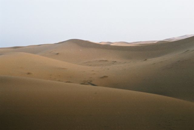 Zdjęcia: desert, Mhamid, wydmy, MAROKO Zdjęcia: desert, Mhamid, wydmy, MAROKO