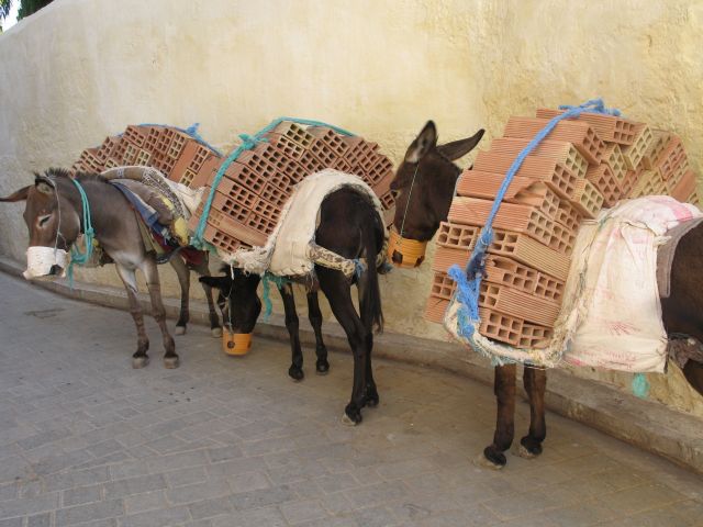 Zdjęcia: medina, Fez, wyzysk po marokańsku, MAROKO Zdjęcia: medina, Fez, wyzysk po marokańsku, MAROKO