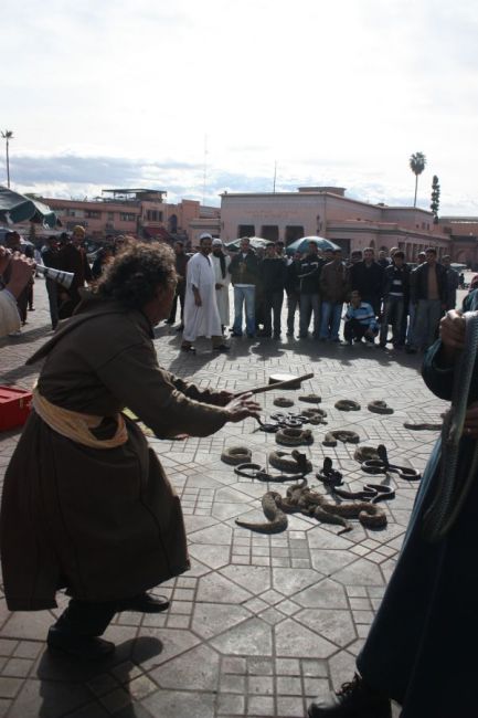 Zdjęcia: Plac Jemaa el fna, Marakesz, Tanczacy z wezami, MAROKO Zdjęcia: Plac Jemaa el fna, Marakesz, Tanczacy z wezami, MAROKO