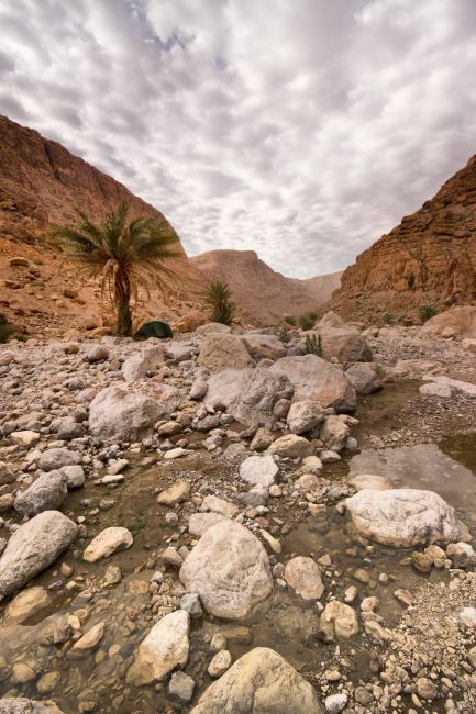 Zdjęcia: Todra Gorge, miesce pod namiot, MAROKO Zdjęcia: Todra Gorge, miesce pod namiot, MAROKO
