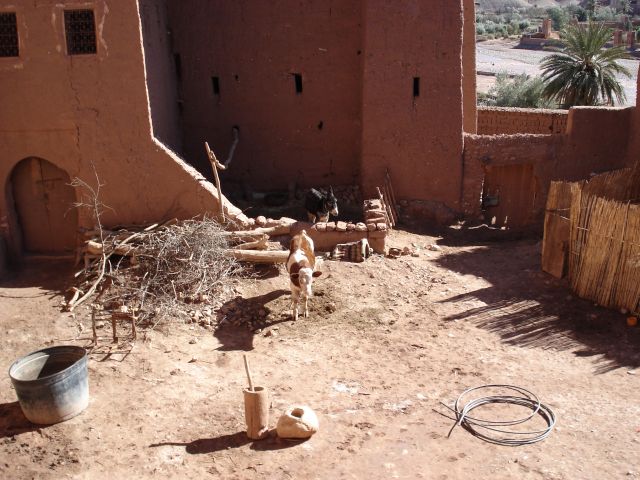 Zdjęcia: Ait Benhaddou, Warzazate, Życie w kazbie, MAROKO Zdjęcia: Ait Benhaddou, Warzazate, Życie w kazbie, MAROKO