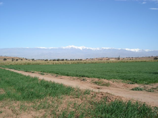 Zdjęcia: na trasie Agadir-Warzazate, Warzazate, Panorama Atlasu Wysokiego, MAROKO Zdjęcia: na trasie Agadir-Warzazate, Warzazate, Panorama Atlasu Wysokiego, MAROKO