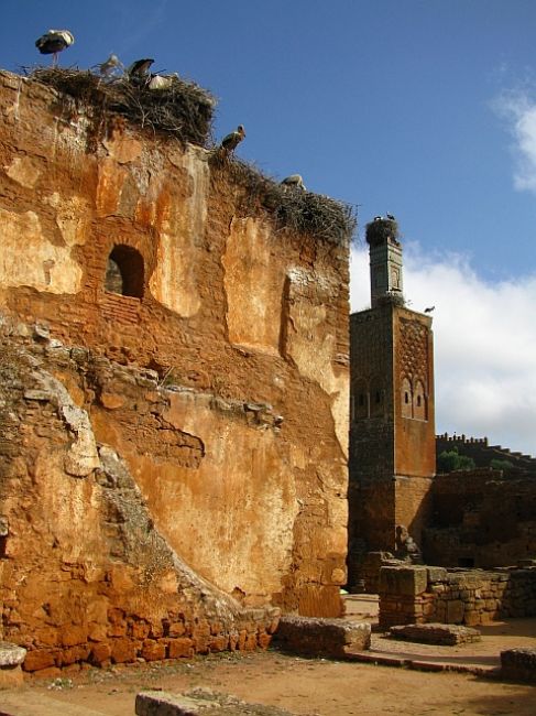 Zdjęcia: Rabat, ., Nekropolia Merynidów - Szella, MAROKO Zdjęcia: Rabat, ., Nekropolia Merynidów - Szella, MAROKO