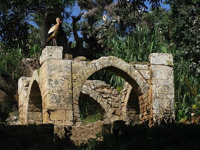 Zdjęcia: Rabat, ., Nekropolia Merynidów - Szella, MAROKO Zdjęcia: Rabat, ., Nekropolia Merynidów - Szella, MAROKO