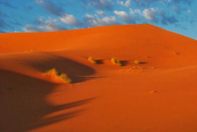 Zdjęcia: Erg Chebbi, Południe Maroka - Merzouga, Cisza o świcie..., MAROKO Zdjęcia: Erg Chebbi, Południe Maroka - Merzouga, Cisza o świcie..., MAROKO