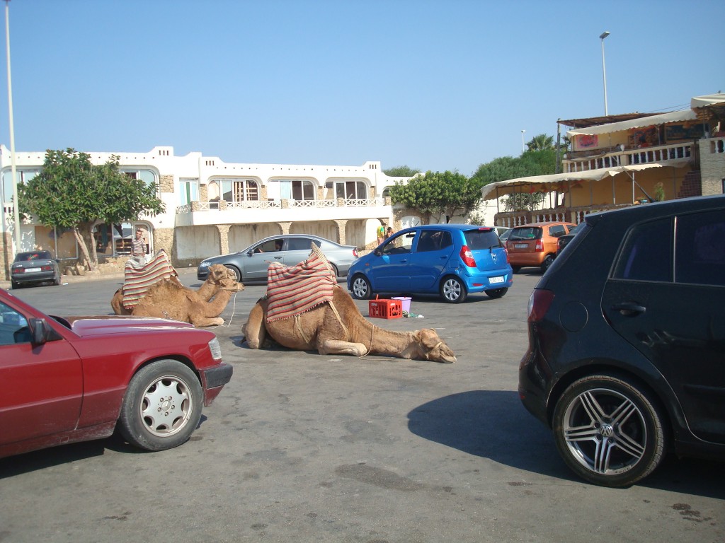 Zdjęcia: tanger, parking dla wszystkich, MAROKO Zdjęcia: tanger, parking dla wszystkich, MAROKO