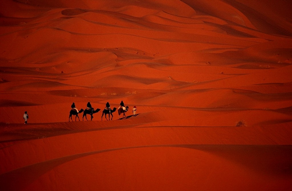 Zdjęcia: Merzouga, Południe, Maroko 100, MAROKO Zdjęcia: Merzouga, Południe, Maroko 100, MAROKO