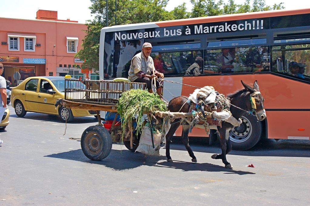 Zdjęcia: Marakesz, Tam wrócę,,, MAROKO Zdjęcia: Marakesz, Tam wrócę,,, MAROKO
