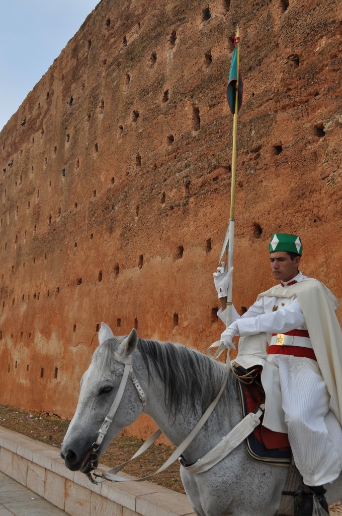 Zdjęcia: Rabat, Siedzę na koniu, MAROKO Zdjęcia: Rabat, Siedzę na koniu, MAROKO