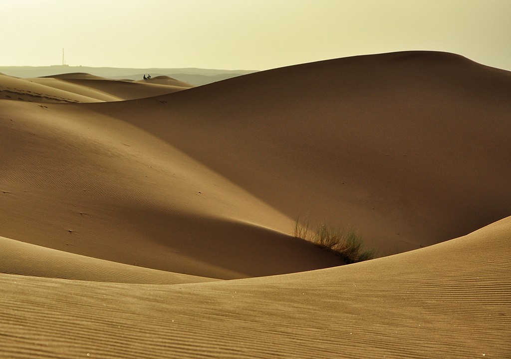 Zdjęcia: Erg Chebbi, Południe, Złota Pustynia, MAROKO Zdjęcia: Erg Chebbi, Południe, Złota Pustynia, MAROKO