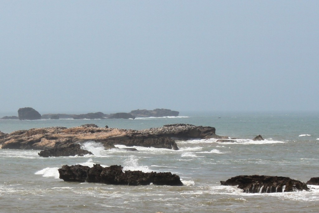 Zdjęcia: ESSAOUIRA, Wyspy Purpurowe, MAROKO Zdjęcia: ESSAOUIRA, Wyspy Purpurowe, MAROKO
