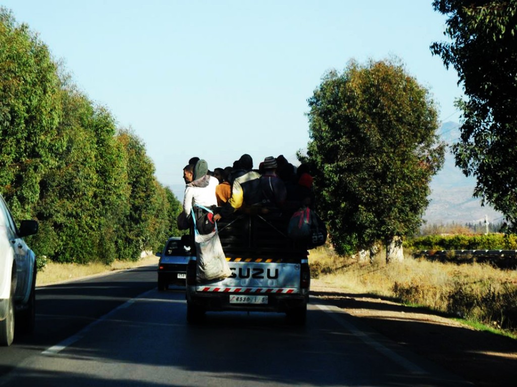 Zdjęcia: sredni Atlas, sredni Atlas, w drodze do Ifrane, MAROKO Zdjęcia: sredni Atlas, sredni Atlas, w drodze do Ifrane, MAROKO