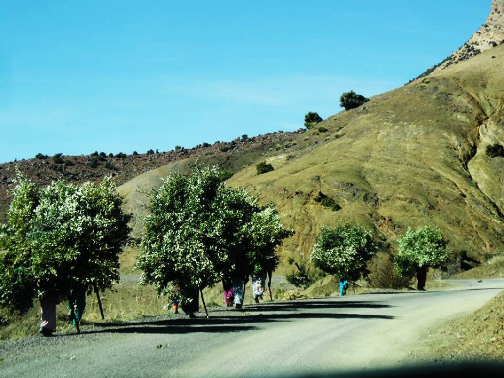 Zdjęcia: Atlas wysoki, Atlas wysoki, Makbet, MAROKO Zdjęcia: Atlas wysoki, Atlas wysoki, Makbet, MAROKO