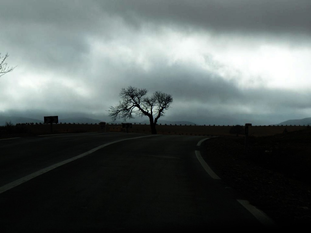 Zdjęcia: wszedzie, wszedzie, do Figuig, MAROKO Zdjęcia: wszedzie, wszedzie, do Figuig, MAROKO