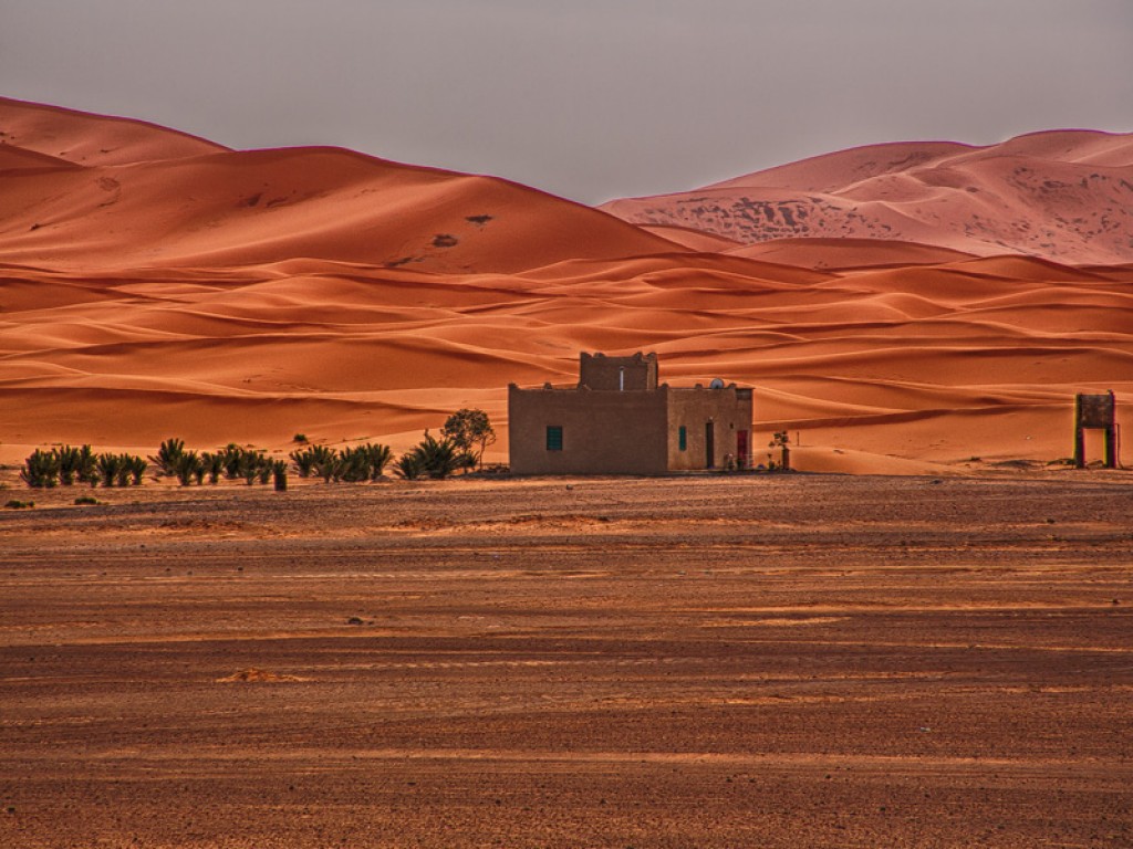Zdjęcia: Sahara, Sahara, MAROKO Zdjęcia: Sahara, Sahara, MAROKO