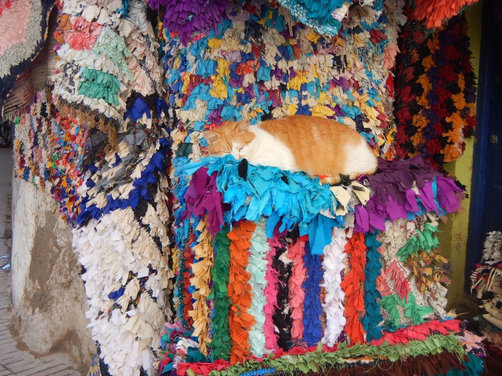 Zdjęcia: Essaouira, Tkaninowiec , MAROKO Zdjęcia: Essaouira, Tkaninowiec , MAROKO