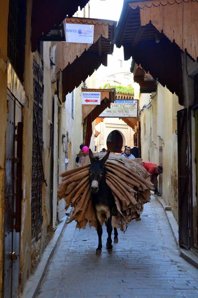 Zdjęcia: Fez, Fez-Bulman, Tragarz, MAROKO Zdjęcia: Fez, Fez-Bulman, Tragarz, MAROKO