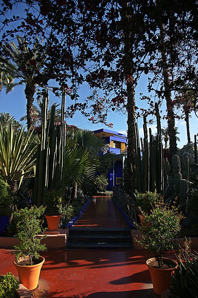 Zdjęcia: Ogród Majorelle, Marrakesz, Blue Majorelle, MAROKO Zdjęcia: Ogród Majorelle, Marrakesz, Blue Majorelle, MAROKO