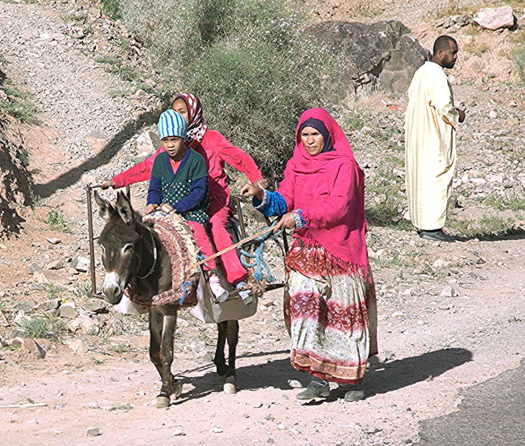 Zdjęcia: Zagora, Sahara, W drodze, MAROKO Zdjęcia: Zagora, Sahara, W drodze, MAROKO