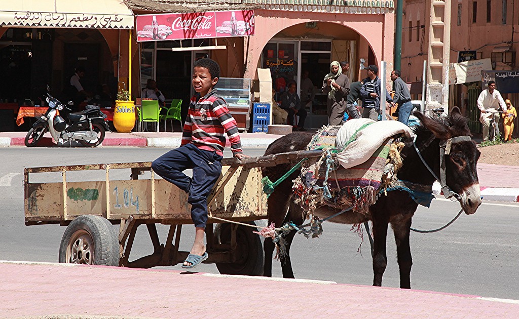 Zdjęcia: Taroudant, Atlas Wysoki, Życie ulicy, MAROKO Zdjęcia: Taroudant, Atlas Wysoki, Życie ulicy, MAROKO