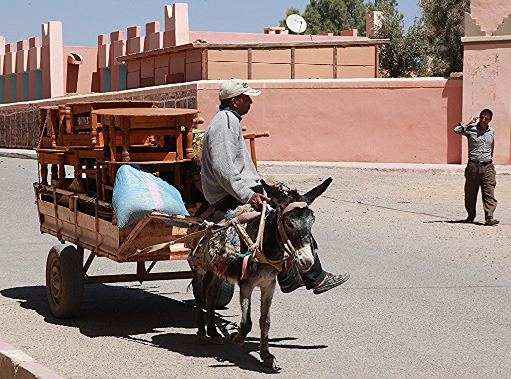Zdjęcia: Taroudant, Atlas Wysoki, Życie ulicy, MAROKO Zdjęcia: Taroudant, Atlas Wysoki, Życie ulicy, MAROKO