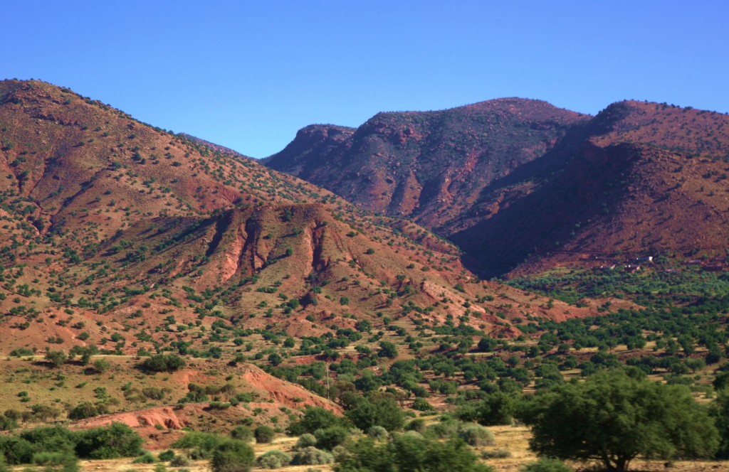 Zdjęcia: W drodze do Agadir, Sus-Massa-Dara, Anty Atlas, MAROKO Zdjęcia: W drodze do Agadir, Sus-Massa-Dara, Anty Atlas, MAROKO