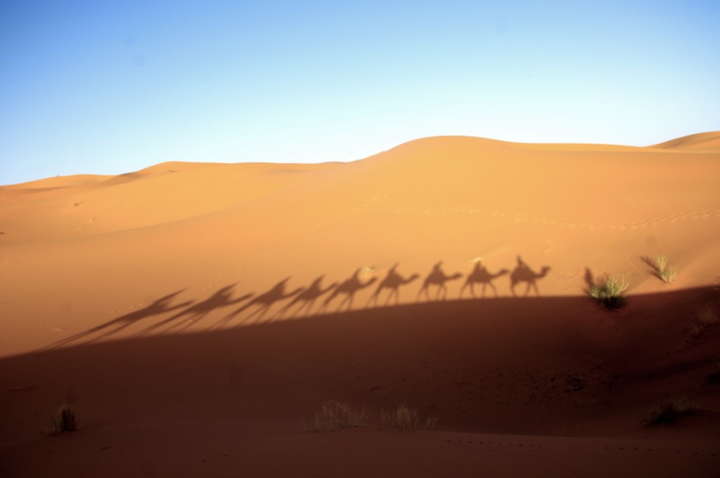 Zdjęcia: pustynia Merzouga, Sahara, Szła przez pustynię, szła karawana, MAROKO Zdjęcia: pustynia Merzouga, Sahara, Szła przez pustynię, szła karawana, MAROKO
