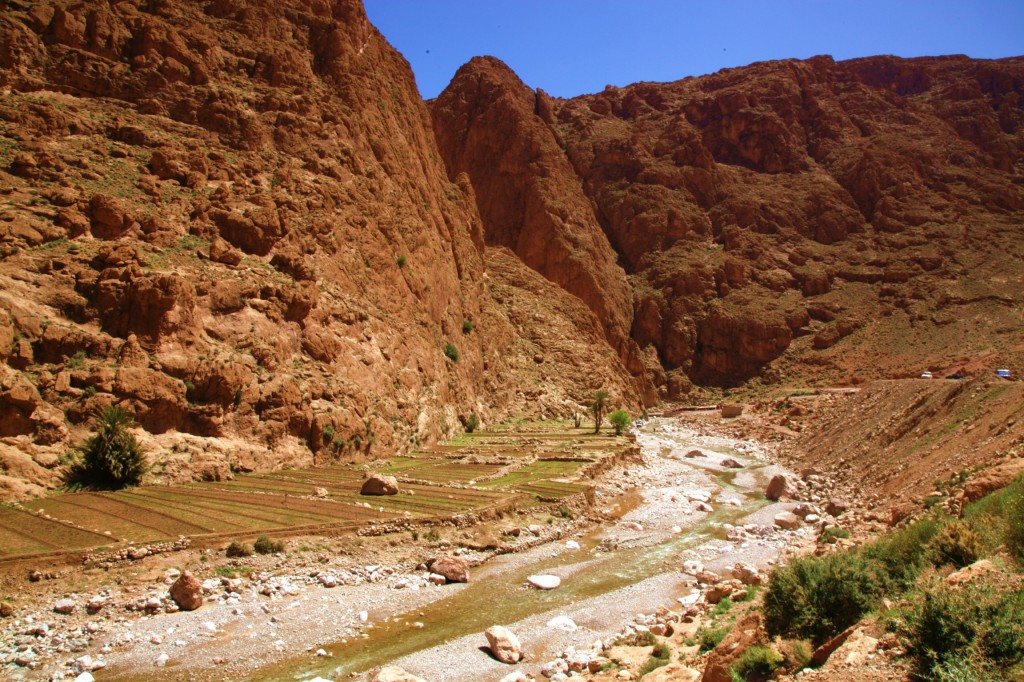 Zdjęcia: Wąwóz Todry, Ouarzazate, Ogrôdki, MAROKO Zdjęcia: Wąwóz Todry, Ouarzazate, Ogrôdki, MAROKO