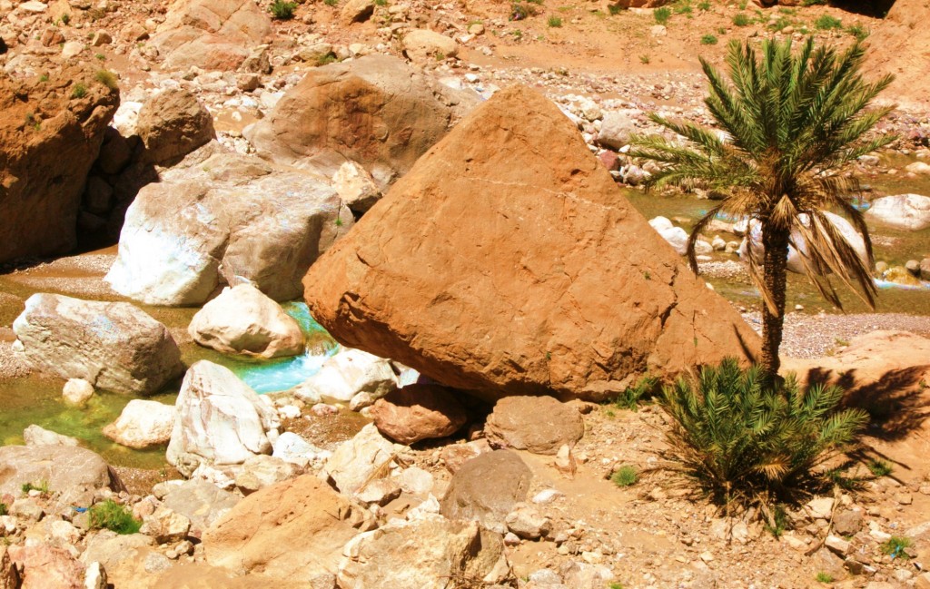 Zdjęcia: Teneghir , Ouarzazate , Rzeka Todra, MAROKO Zdjęcia: Teneghir , Ouarzazate , Rzeka Todra, MAROKO