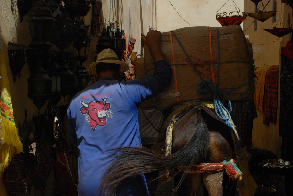 Zdjęcia: Fez, północno-centralny, Codzienna trasa, MAROKO Zdjęcia: Fez, północno-centralny, Codzienna trasa, MAROKO